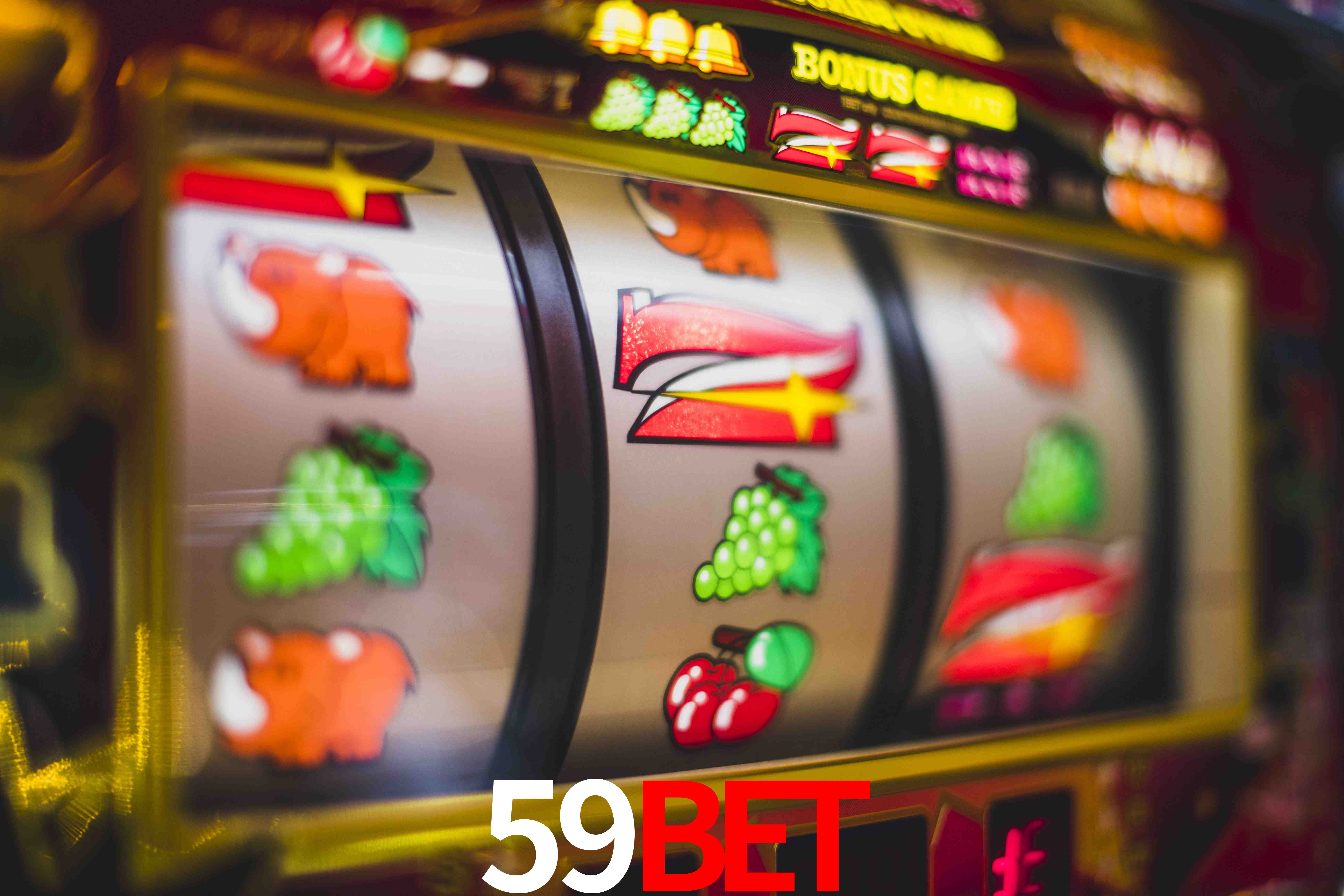 Experiência VIP 59bet